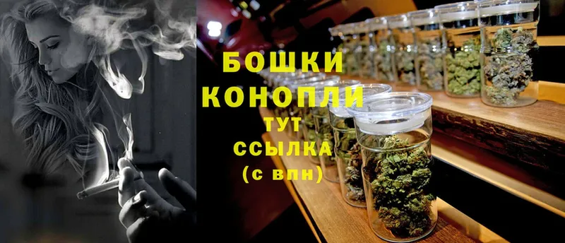 Каннабис SATIVA & INDICA  Анапа 